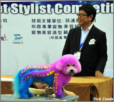 Stylist Competition 1